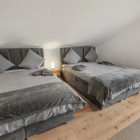 Et Spacieux Moderne Chalet Cergnat